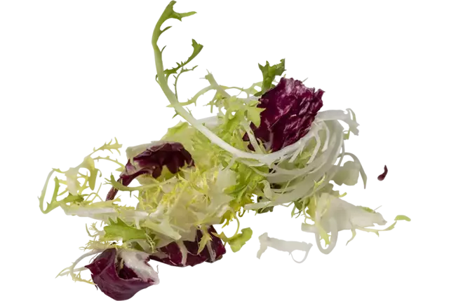 Slamix Van Gelder 500gr